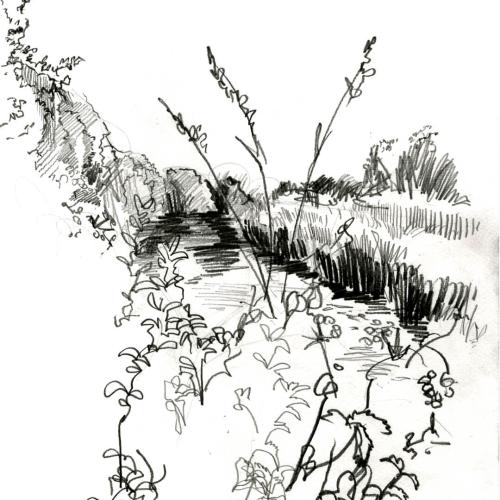 A pencil sketch depicts a tranquil river scene with tall grasses and foliage in the foreground. The river curves gently, flanked by more vegetation and distant hills in the background, creating a serene, natural landscape.