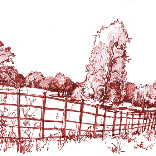 Pen sketch of a rural landscape with a wooden fence stretching into the distance. Trees and bushes provide a lush backdrop, drawn with detailed crosshatching. The scene is rendered in reddish-brown ink against a white background.