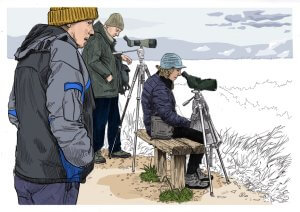 Three people in winter clothing watch birds outdoors; two use spotting scopes on tripods, with one sitting on a bench and another standing close by. The landscape is open and grassy under a cloudy sky.